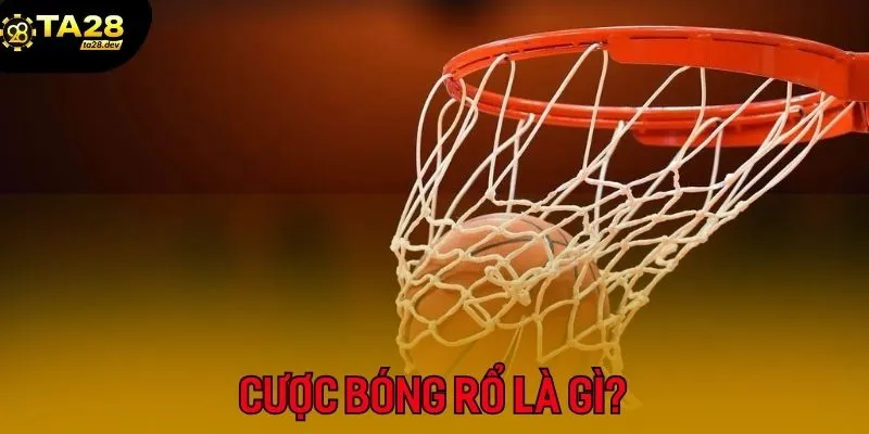 Hướng Dẫn Cá Cược Bóng Rổ & Tennis Tại Ta28: Kèo Nào Dễ Thắng Nhất? 2 Giới thiệu về cá cược bóng rổ tại TA28