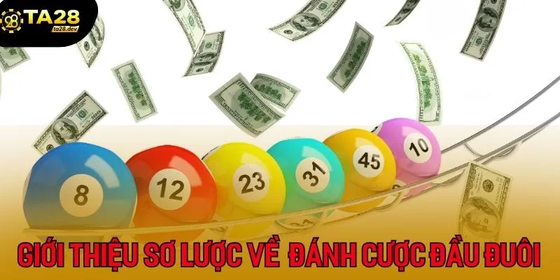 Giới thiệu sơ lược về cách đánh cược đầu đuôi