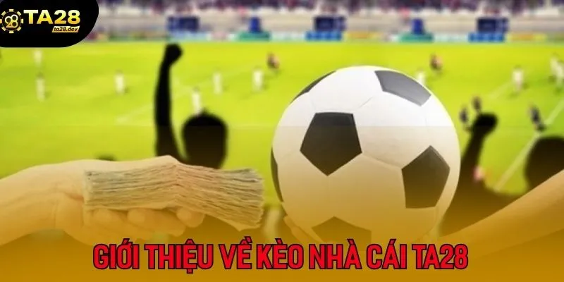 Giải Mã Bảng Kèo Nhà Cái Ta28: Cách Đọc Vị Mọi Tỷ Lệ Kèo Trong 5 Phút 2 Giới thiệu về kèo nhà cái TA28